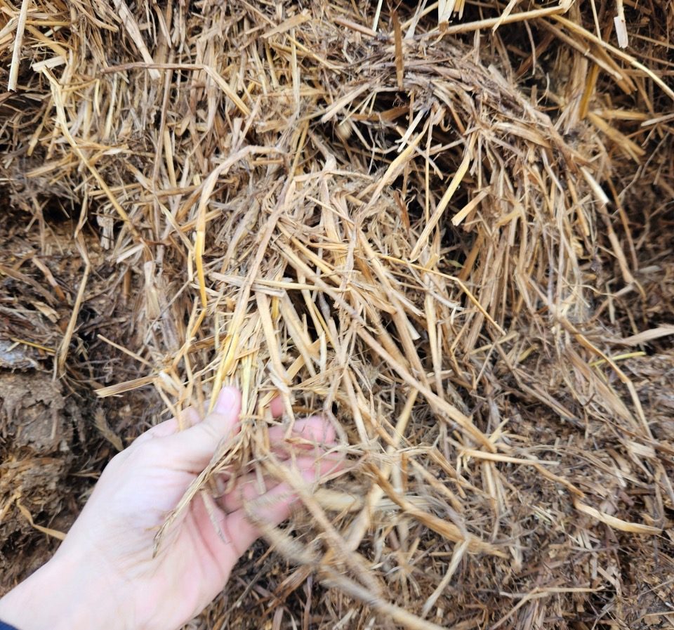 Schiuma e separazione delle fibre